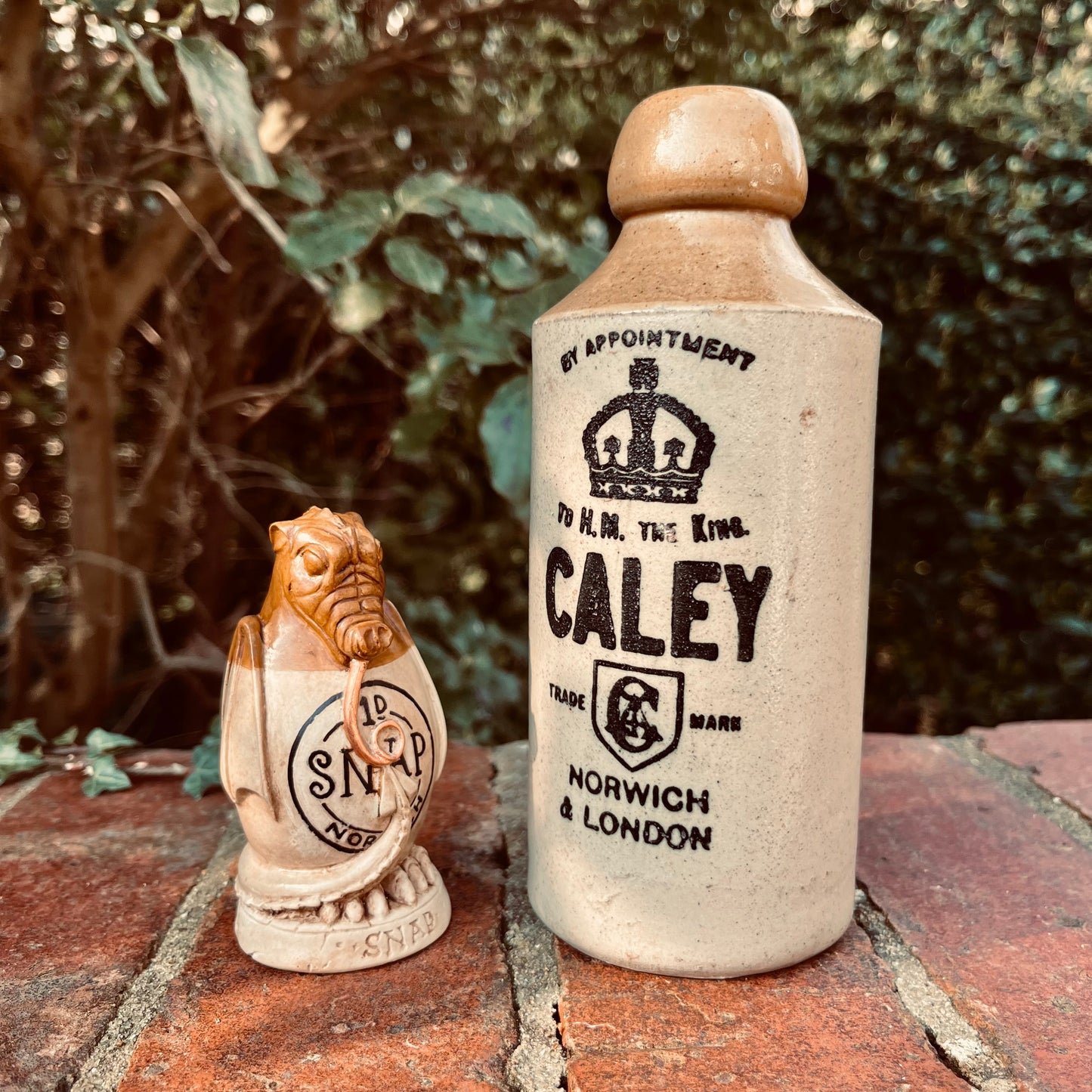 Superior Ginger Snap