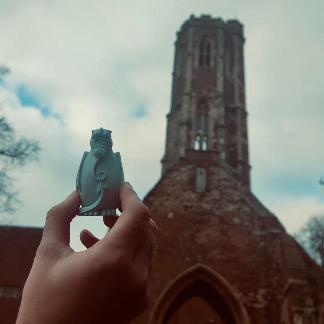 Snap Dragon at Grey Friars Ruin
