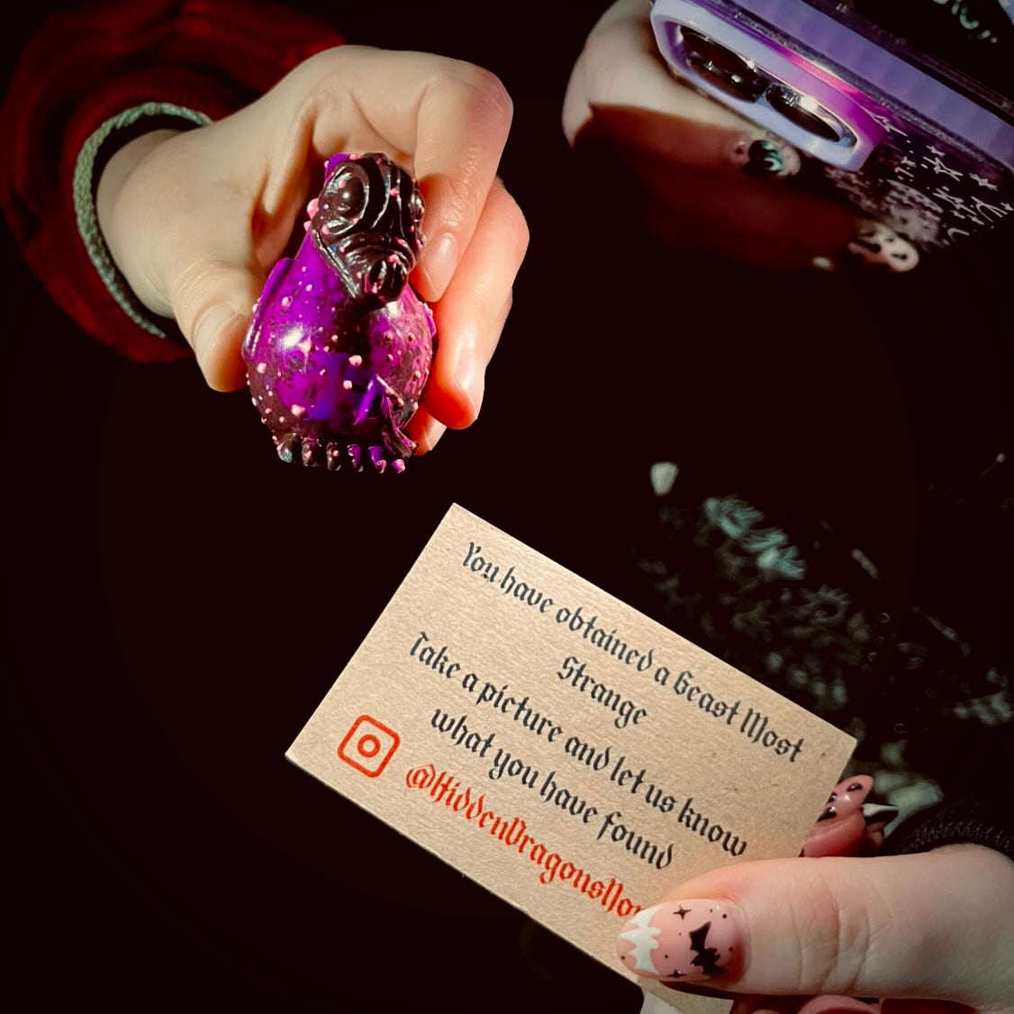 Hidden Dragon of Norfolk being found