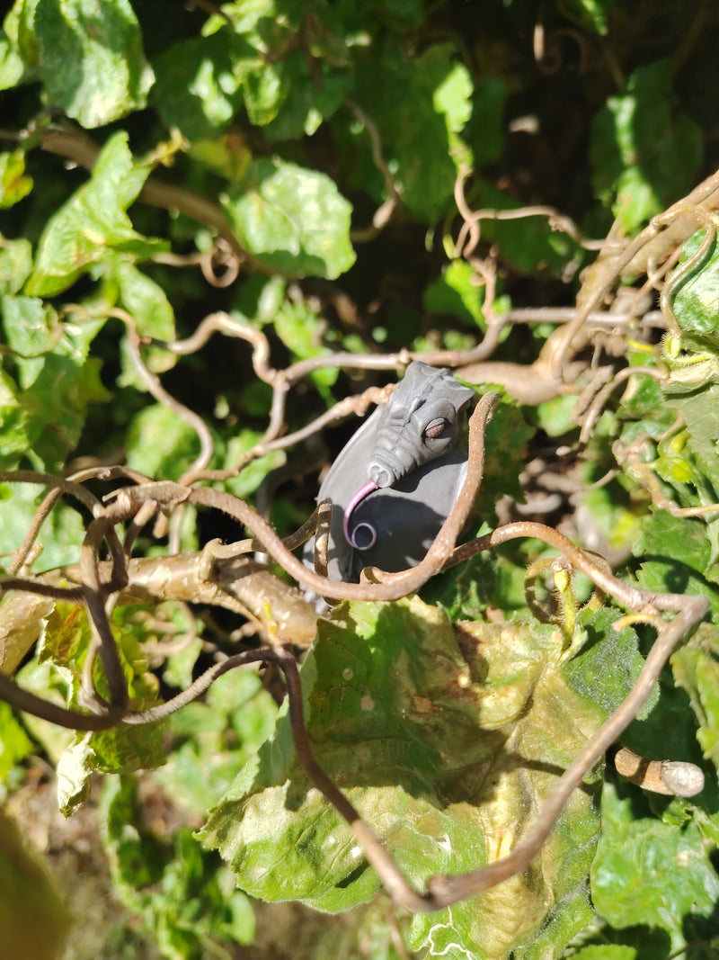 Dragonfly 