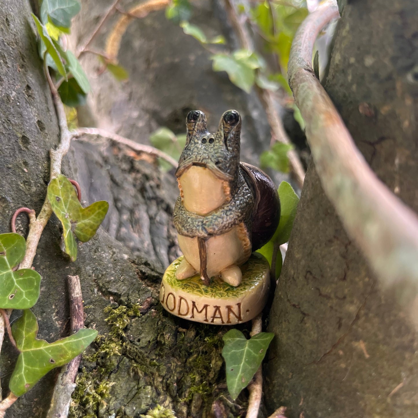 Dodman