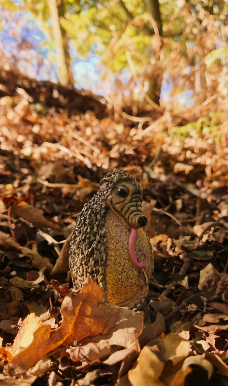 Quillback