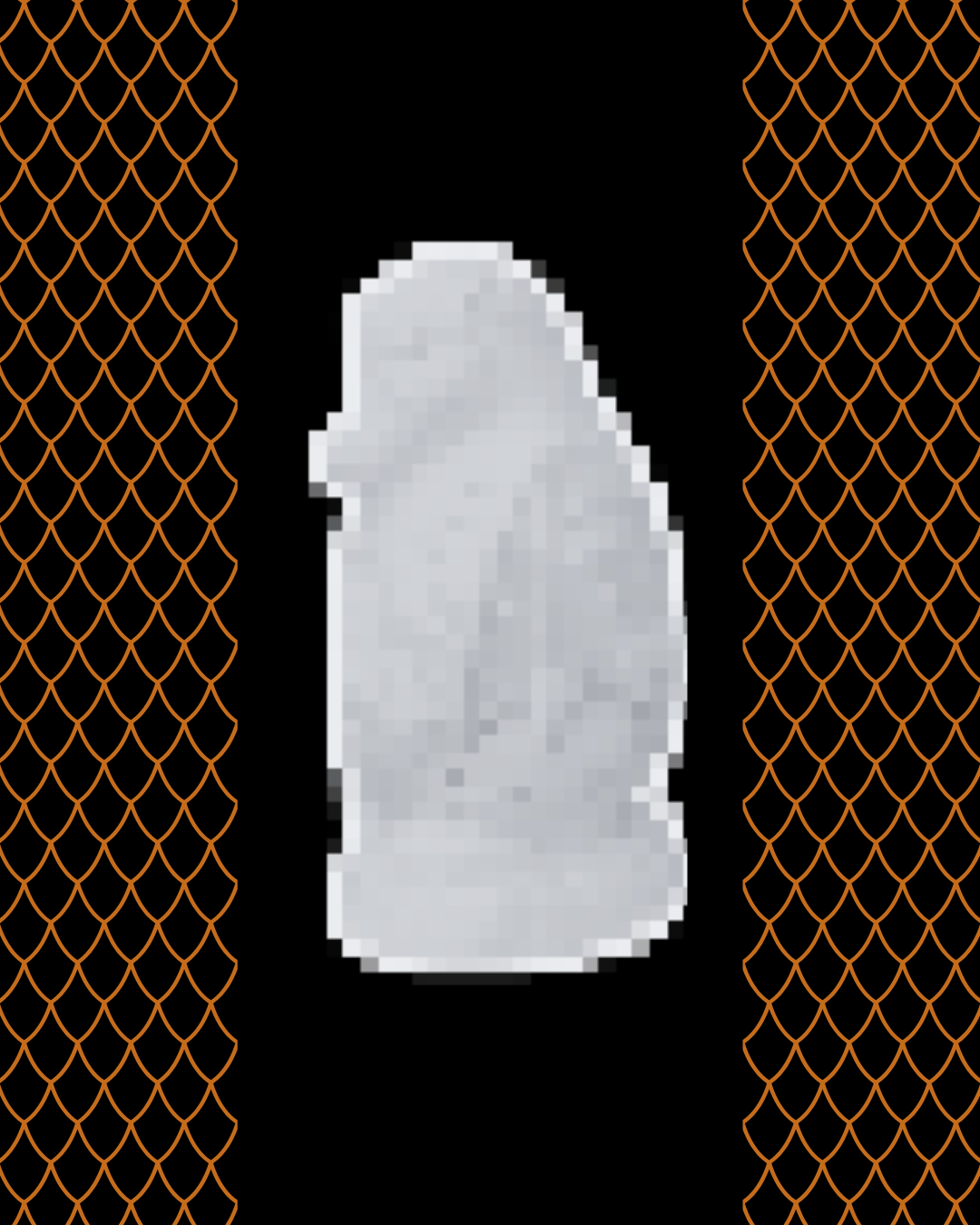 Snapparition - Collectors Discount